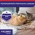 Feliway Friends. Kontinuierliche Harmonie zuhause. Wissenschaftlich belegt.