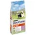 Sac de croquettes Purina Dog Chow Mature Adult 3, 5+ ans, à l’agneau, 14 kg. Texte visible : maintien masse corporelle maigre, pour chiens adultes matures.