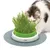 Catit grass station with green insert and grey base, cat sniffing fresh grass.
