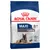 Royal Canin Maxi Ageing 8+ für große Hunde von 26 bis 44 kg, unterstützt gesundes Altern sowie Knochen- und Gelenkfunktion. Abgebildet ist ein Hund und Kroketten.