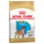 2 x 12 kg Boxer Puppy