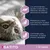 GATITO 1-12 meses. Los antioxidantes ayudan a reforzar las defensas naturales y estimular la vitalidad. Prebióticos y fibra para la salud intestinal. Formulado para un tracto urinario saludable.