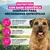 Eukanuba Special Care Weight Control Adult Small/Medium