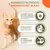 IAMS Advanced Nutrition Graanvrij met kip Kattenvoer