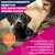 Eukanuba Premium Nutrition Junior Large & Giant Breed piščanec