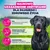Eukanuba Premium Nutrition Junior Large & Giant Breed, kurczak