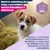 Eukanuba Premium Nutrition Puppy Small & Medium Breed cordero y arroz