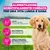 Eukanuba Premium Nutrition Puppy Large & Giant Breed Agnello & Riso