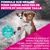 Eukanuba Premium Nutrition Adult Small et Medium Breed Agneau et Riz