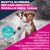 Eukanuba Premium Nutrition Adult Small & Medium Breed Agnello & Riso