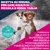 Eukanuba Premium Nutrition Adult Small & Medium Breed Agnello & Riso