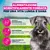 Eukanuba Premium Nutrition Mature Small Breed Pollo