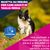 Eukanuba Premium Nutrition Mature Medium Breed Pollo