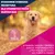 Eukanuba Premium Nutrition Senior Large & Giant Breed, jagnięcina i ryż