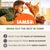 IAMS Advanced Nutrition Grain Free - Land Collection in Gravy
