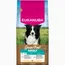 Eukanuba Grain Free Adult Small & Medium mit Huhn - Sparpaket: 2 x 12 kg