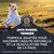 Jack Russel Terrier. Formule pour soutenir l’agilité naturelle et la musculature fine de la race. Convient également aux Parson Russell, Fox et Border Terrier. Jack Russel Terrier. Formule pour soutenir l’agilité naturelle et la musculature fine de la race. Convient également aux Parson Russell, Fox et Border Terrier.