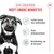 Royal Canin Maxi Puppy Hondenvoer in Saus