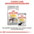 ROYAL CANIN DERMACOMFORT MAXI croquettes et DERMACOMFORT ALL SIZES sachet 85 g, programme nutritionnel pour chien. Texte en allemand : Canine Care Ernährungsprogramm.