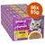 Sparpaket Whiskas 1+ Aromatic Selection 96 x 85 g