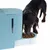 Automatischer Futterspender in Blau mit Hund, der Trockenfutter aus der Schale frisst. Sichtfenster zeigt verbleibende Futtermenge.