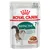 Royal Canin Instinctive 7+ years, cat food in gravy, 85g, for cats from 7 years old.