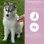 Wolfsbacher Natur Flores de Bach para mascotas Wolfsbacher Natur Flores de Bach para mascotas