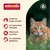 animonda. Füttern mit Herz und Verstand. Geliebt von Katzen seit 1991, von Expert:innen entwickelt, ohne Zusatz von Zucker, für individuelle Bedürfnisse.