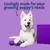 Text reads: Lovingly made for your growing puppy’s needs. Image shows a white puppy with a purple toy on a purple background.
