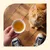Hand houdt een kom met vloeibaar voer of bouillon vast, kat kijkt omhoog. Toont het gebruik van het product voor huisdieren. Hand houdt een kom met vloeibaar voer of bouillon vast, kat kijkt omhoog. Toont het gebruik van het product voor huisdieren.