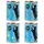 Pack misto (4 variedades)
