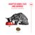 Royal Canin Fussy Exigent