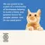 Text reads: We are proud to be a part of a community of businesses helping to build a fairer and greener future for people, planet, and (in our case) pets. Certified B Corporation.