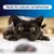 Ever Clean® Total Cover Clumping Cat Litter - Unscented