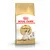 Zak Royal Canin Adult Siamese kattenvoer, afbeelding van een Siamese kat op de voorkant, tekst: 'Feline Breed Nutrition', zichtbaar merk en productnaam.