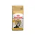 Saco de 12 kg de Royal Canin Persian Adult, incluye oferta 10 kg + 2 kg gratis. Imagen de un gato persa en el envase. Texto visible: 'Long hair', 'Tailor-made kibble'.