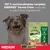 GREENIES Dental Chew Medium 12–22 kg, paquete de 6. Made with Natural Ingredients. Dental Treats: ayuda a reducir placa y sarro, desarrollado con veterinarios, 100% Complete.