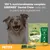 GREENIES Dental Chew Petite 8–11 kg, Dental Treats x10. Made with Natural Ingredients. Helps reduce plaque and tartar build up. Developed with vets. 100% Complete.