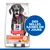 Hill's Science Plan Perfect Digestion pour chiens adultes 25 kg+, avec poulet et riz complet. Texte visible : Des selles saines en 7 jours. Sans conservateurs ni colorants artificiels.