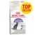 Royal Canin Regular Sterilised 37, alimento per gatti adulti sterilizzati. Etichetta gialla con testo rosso: TOP SELLER. Immagine di un gatto nero sul fronte della confezione.