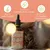 Wolfsbacher Natur Olio di salmone per gatti