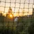 Schwarzes Netz mit quadratischer Maschenstruktur, im Hintergrund Sonnenuntergang und Bäume sichtbar.