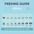 Feeding guide for kittens: under 2 months 30-50g, 2-3 months 50-70g, 3-4 months 70-90g, 4-10 months 90-100g, 10-12 months 95-110g, pregnant up to 120g, nursing up to 350g daily.