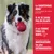 Chien avec un jouet KONG rouge dans la gueule. Texte : Le caoutchouc KONG est non toxique, sûr, naturel, durable, ne s’effrite pas, doux pour les dents, robuste pour les mâcheurs puissants. Chien avec un jouet KONG rouge dans la gueule. Texte : Le caoutchouc KONG est non toxique, sûr, naturel, durable, ne s’effrite pas, doux pour les dents, robuste pour les mâcheurs puissants.