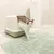 Weisse Katze verlässt eine geschlossene Katzentoilette mit Klappe, die auf einem grünen Teppich steht.