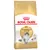 Royal Canin Breed Dry Cat Food Economy Packs - Norwegian Forest Cat 2 x 10kg