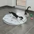 Zwei Katzen spielen mit einer grauen Spielmatte von Modern Living, die Löcher und bunte Bälle enthält.
