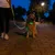 Guinzaglio da jogging Nomad Tales Spirit USB LED giallo neon e grigio Guinzaglio da jogging Nomad Tales Spirit USB LED giallo neon e grigio