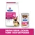 Hill's Prescription Diet Gastrointestinal Biome torrfoderpåse och våtfoderburk för hund, text: Prova våra läckra torr- och våtfoder