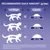 Feeding guide: 2-4kg cat weight, 30-60g food daily; 4-6kg, 60-85g; 6-8kg, 85-115g. Adjust amounts for activity and condition. Fresh water should always be available.